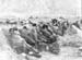 Pacif_0334_Aleutians_0006
