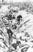 Pacif_0861_Carolines_0044