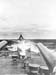 Pacif_0108_Pacifique_0108