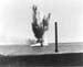 Pacif_0563_Pacifique_0563
