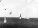 Pacif_0835_Corail_0004