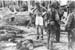Pacif_0139_Gilbert_0002