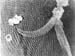Pacif_0115_Pacifique_0115