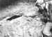 Pacif_0489_Guinee_0027