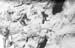 Pacif_0282_Iwojima_0028