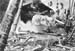 Pacif_0007_Marshalls_06
