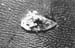 Pacif_0358_Philippines_0023