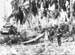 Pacif_0371_Philippines_0034