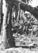 Pacif_0427_Philippines_0087