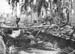 Pacif_0503_Philippines_0122