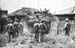 Pacif_0070_Ryukyu_14
