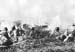 Pacif_0700_Ryukyu_0048