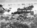 Pacif_0716_Ryukyu_0062