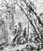 Pacif_0188_Salomon_0007