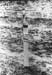 Pacif_0522_Salomon_0041