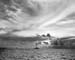 Pacif_0544_Salomon_0046