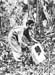 Pacif_0817_Salomon_0060