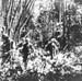 Pacif_0863_Salomon_0071