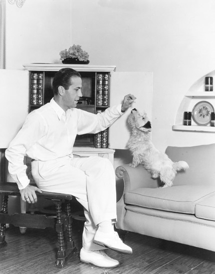 bogart_famille_0003