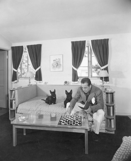 bogart_presse_0015